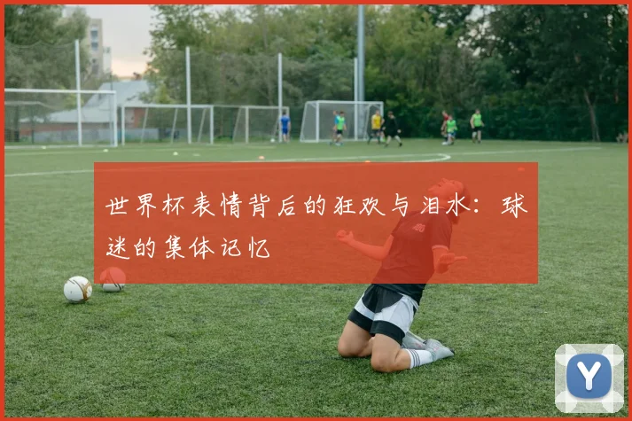 世界杯表情背后的狂欢与泪水:球迷的集体记忆