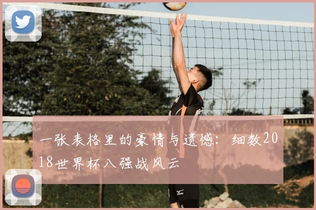 一张表格里的豪情与遗憾:细数2018世界杯八强战风云