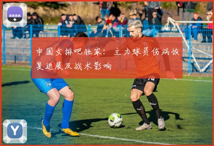中国女排吧独家：主力球员伤病恢复进展及战术影响