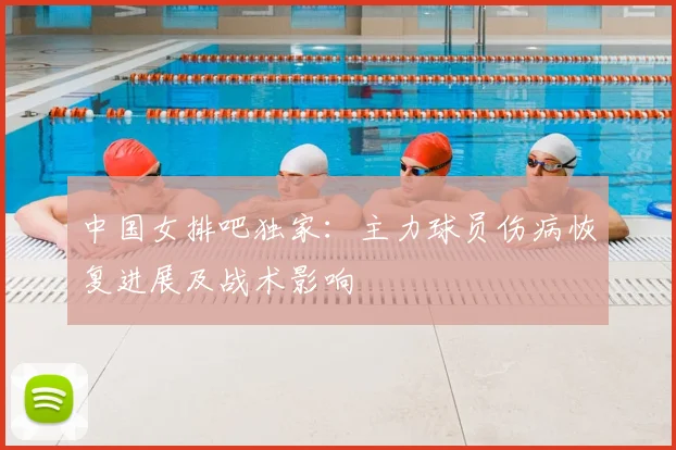 中国女排吧独家：主力球员伤病恢复进展及战术影响